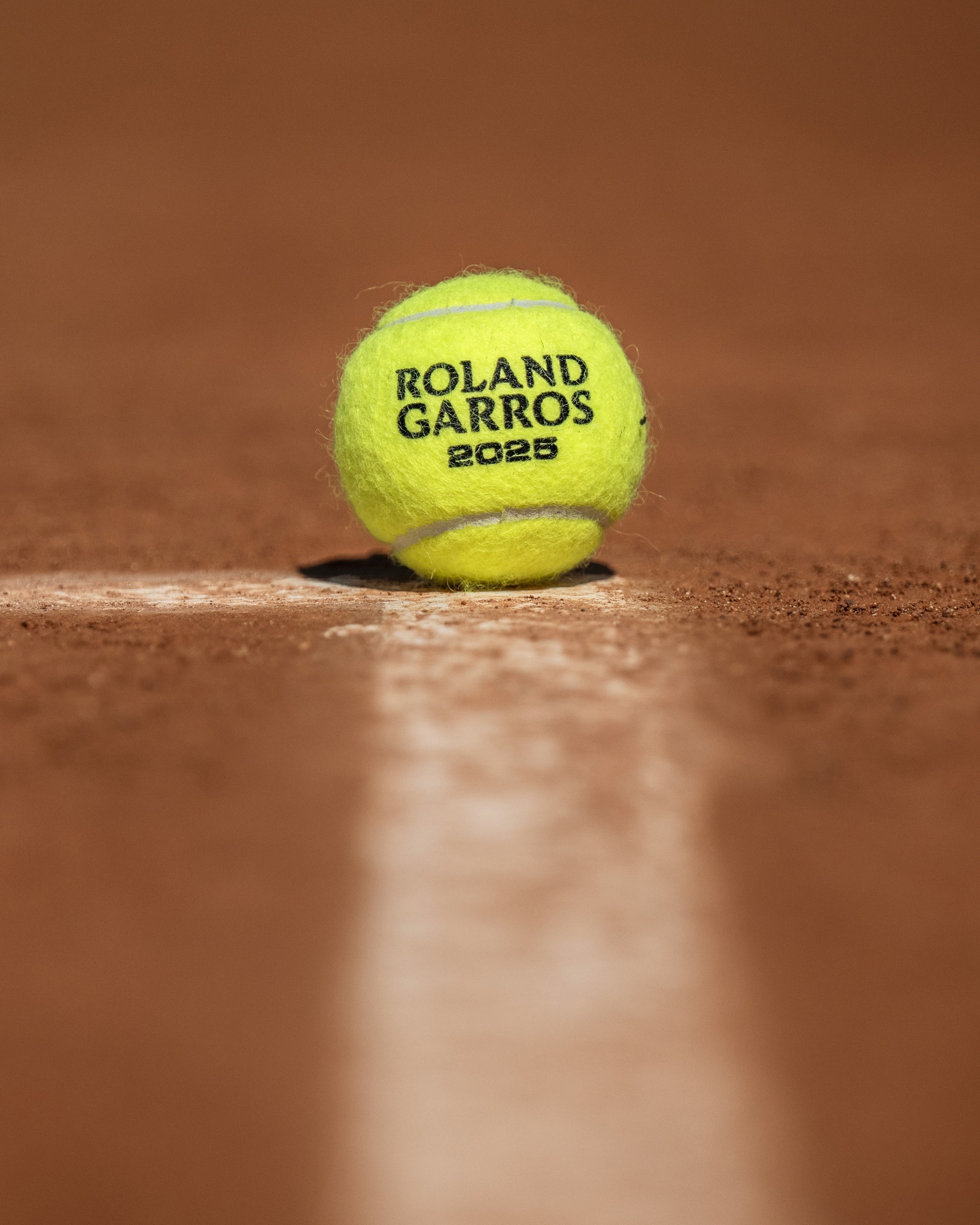 在回归赛场 在回归赛场